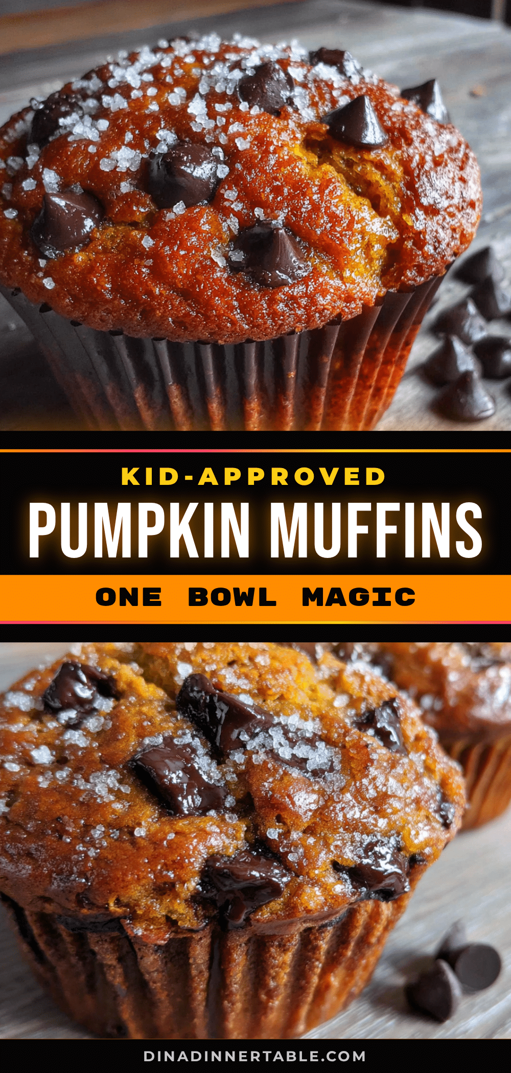 pumpkin chocolate chip muffins recipe