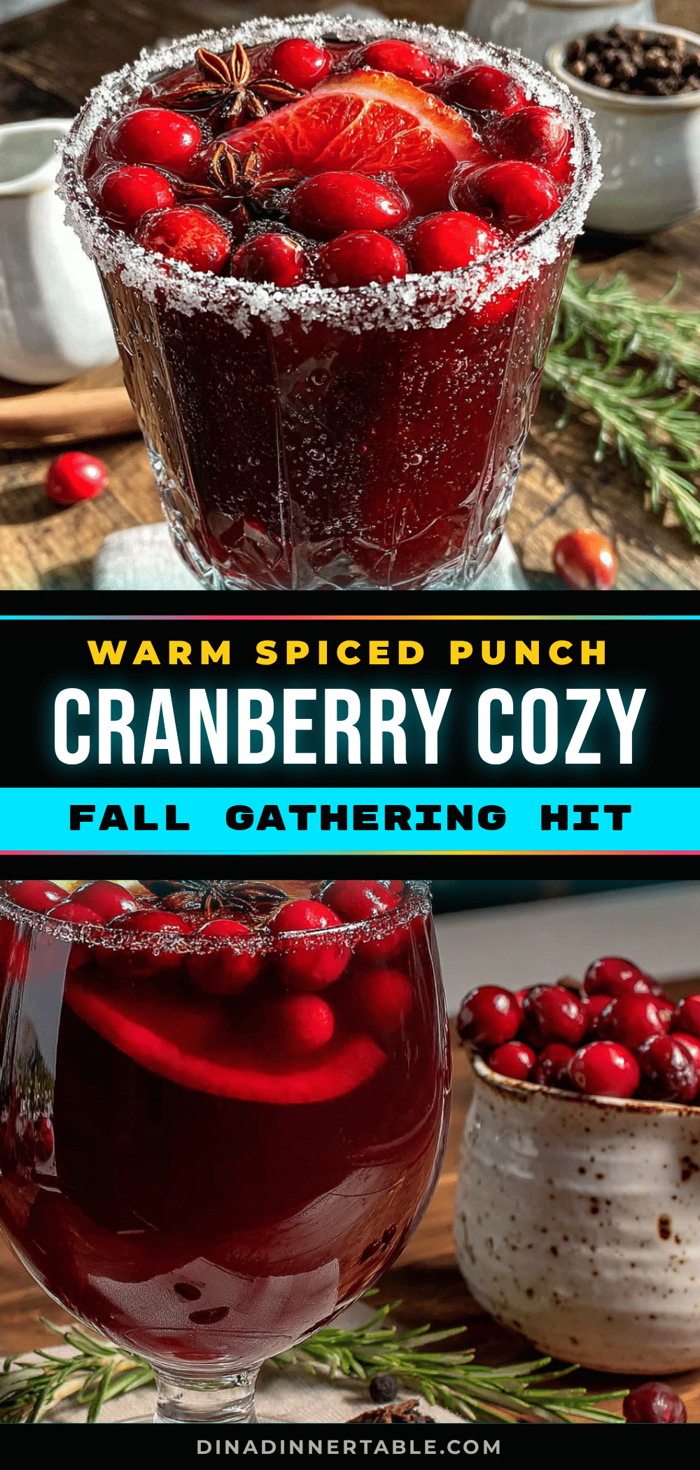 cozy spiced cranberry mocktail punch recipe